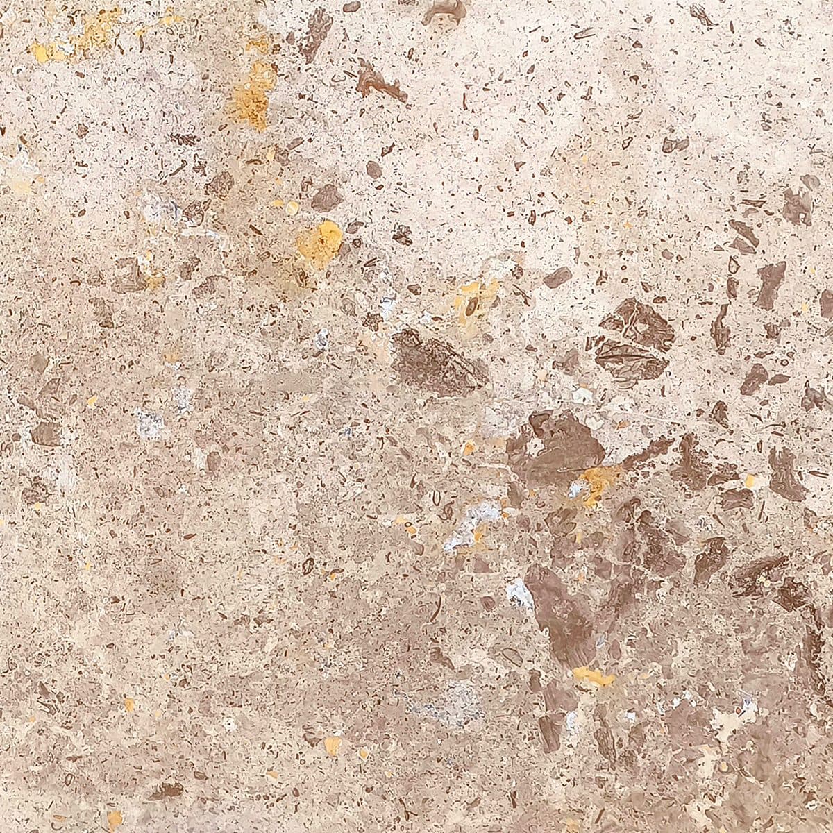 Warm beige travertine with linear sediment