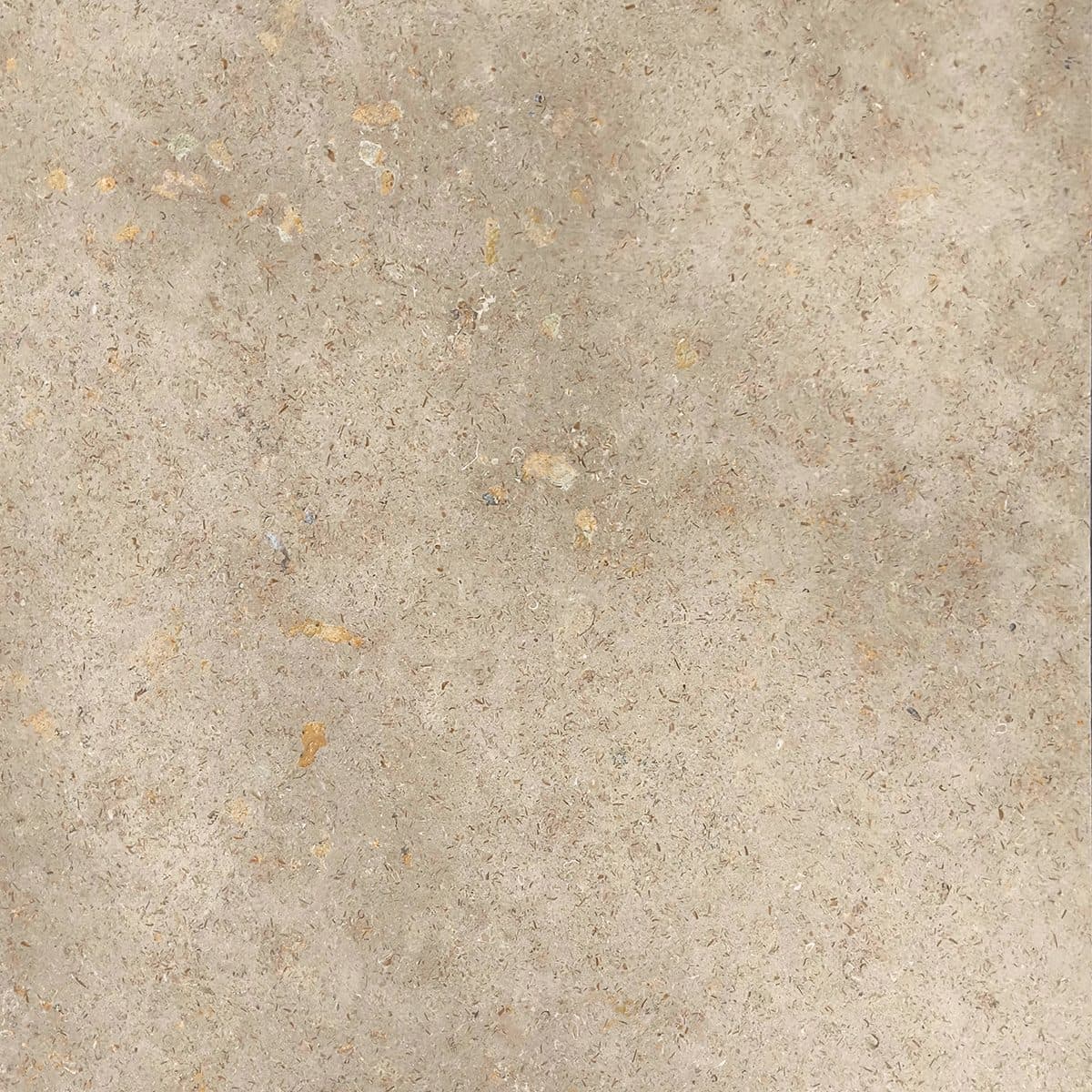 Sunpearl travertine with open pores and warm ground